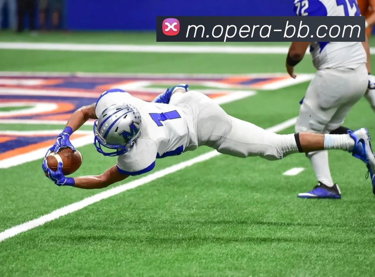 贝博体育发展历程